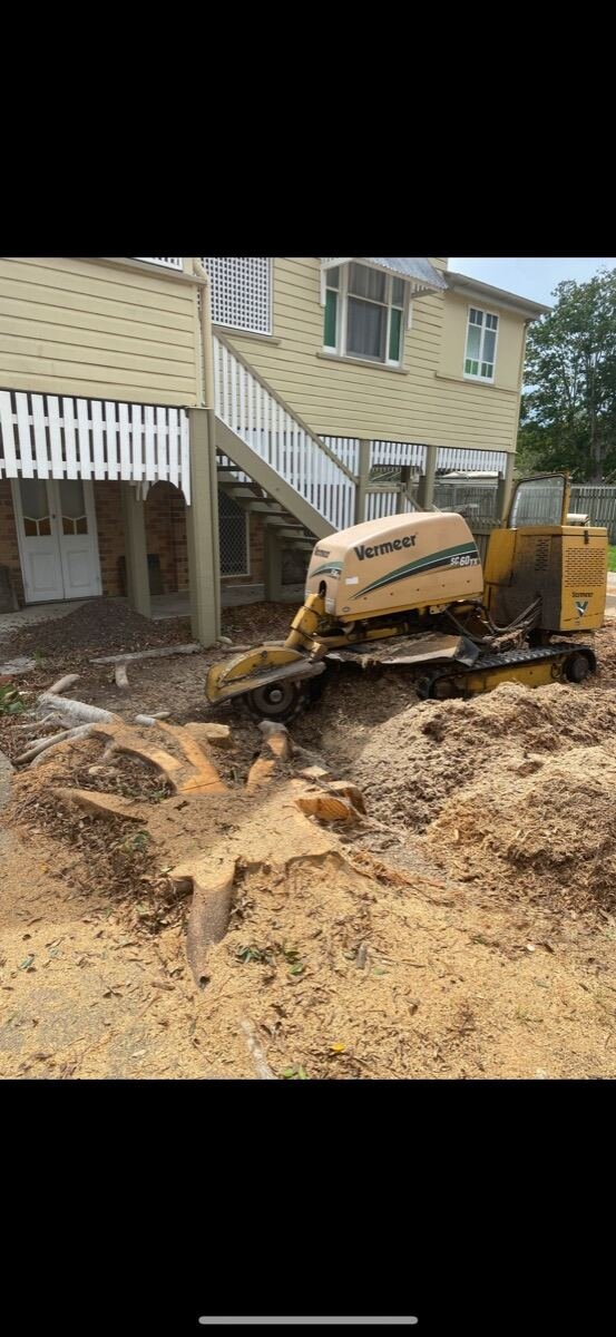 Stump grinding machine clearing a tree stump beside a Queenslander home